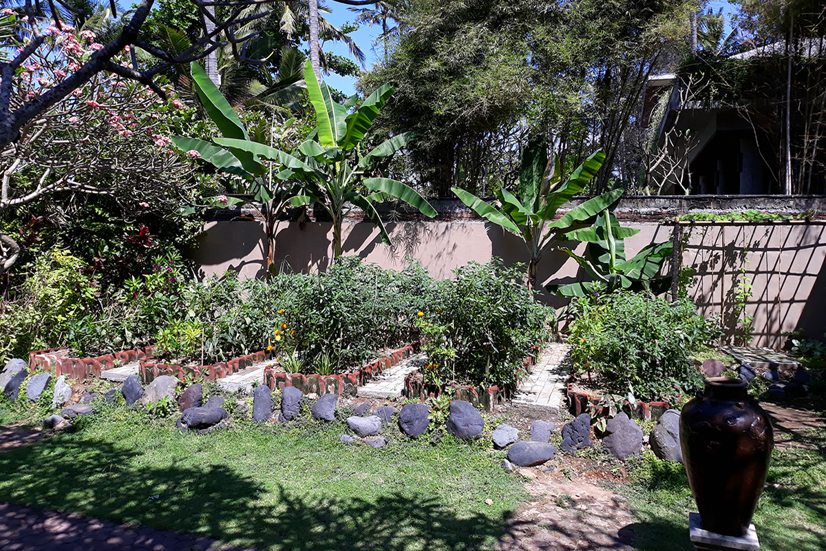 Gardening for Sustainability at Lotus Bungalows
