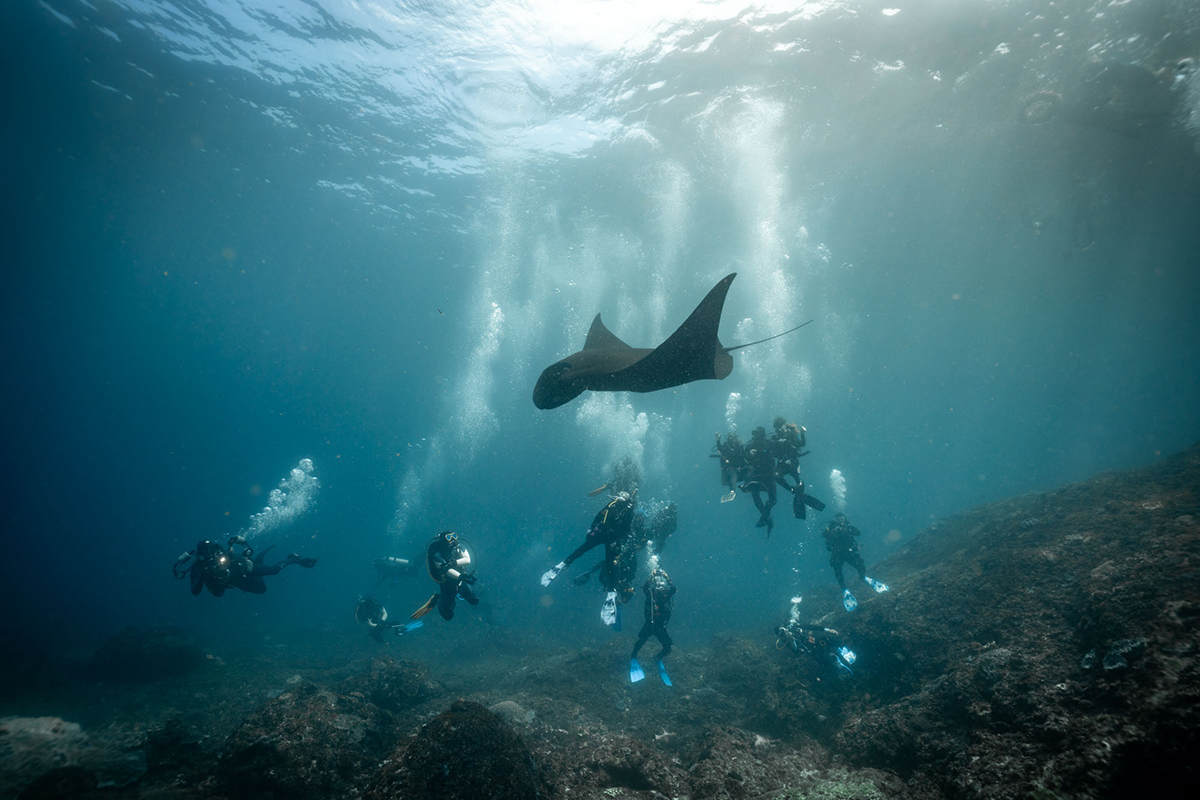 Keeping up Your Dive Skills After Certification